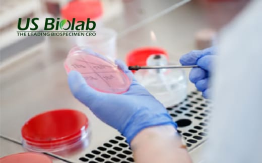 US Biolab - Magento Open Source Development Services