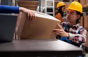 Shopify Custom Theme Design Services for Manufacturing & Wholesale Websites